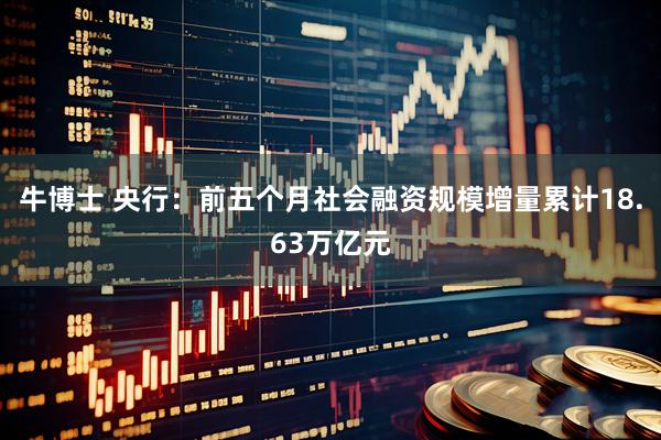 牛博士 央行：前五个月社会融资规模增量累计18.63万亿元