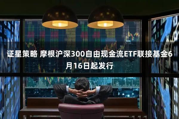 证星策略 摩根沪深300自由现金流ETF联接基金6月16日起发行