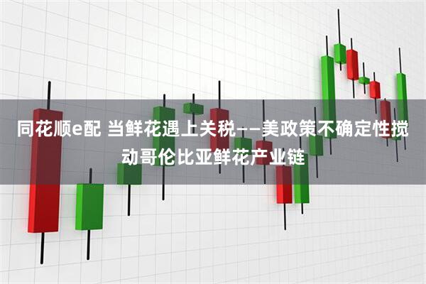 同花顺e配 当鲜花遇上关税——美政策不确定性搅动哥伦比亚鲜花产业链