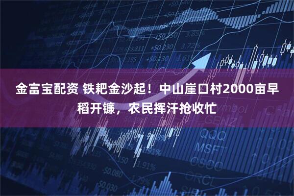 金富宝配资 铁耙金沙起！中山崖口村2000亩早稻开镰，农民挥汗抢收忙