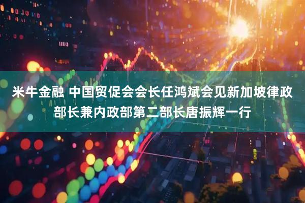 米牛金融 中国贸促会会长任鸿斌会见新加坡律政部长兼内政部第二部长唐振辉一行
